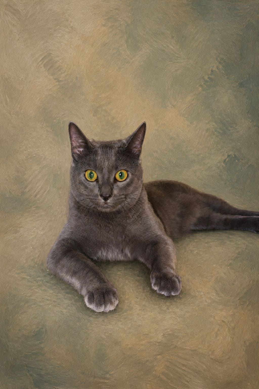 Digital preview of Cobble, a grey cat, lying down with the room replaced by a soft linen and sage painted background